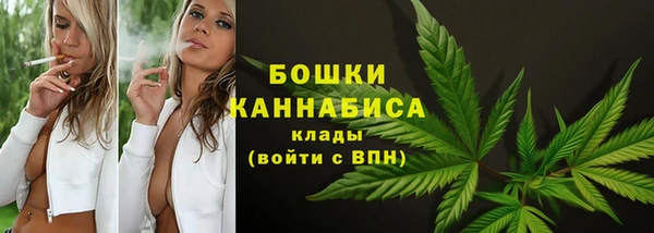 крисы Каменка