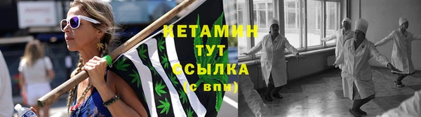 крисы Каменка
