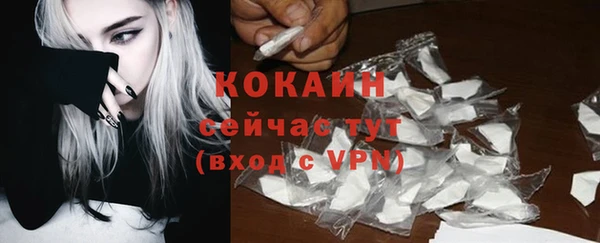 крисы Каменка