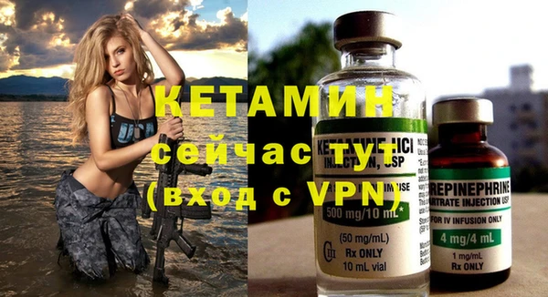 крисы Каменка