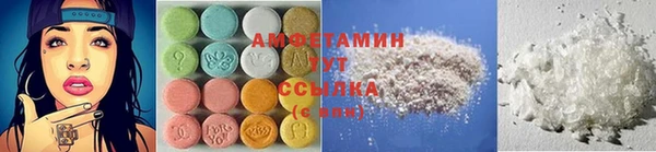 ГАЛЛЮЦИНОГЕННЫЕ ГРИБЫ Каменногорск