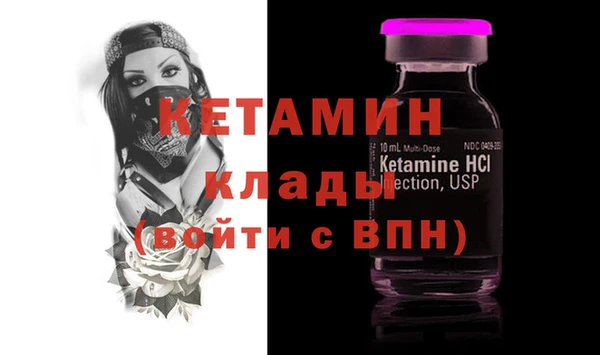 крисы Каменка