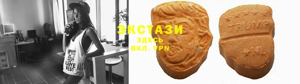 крисы Каменка