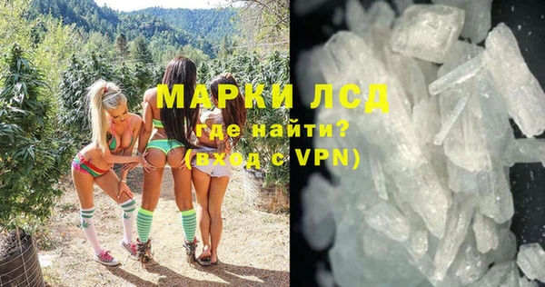 крисы Каменка