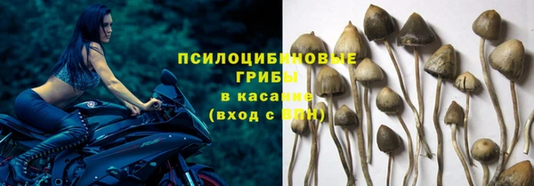 ГАЛЛЮЦИНОГЕННЫЕ ГРИБЫ Каменногорск
