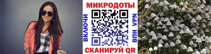 Галлюциногенные грибы MAGIC MUSHROOMS  Купить закладки  Верхняя Пышма 