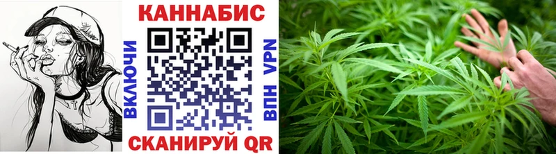 Купить закладки  Верхняя Пышма  Бошки Шишки White Widow 